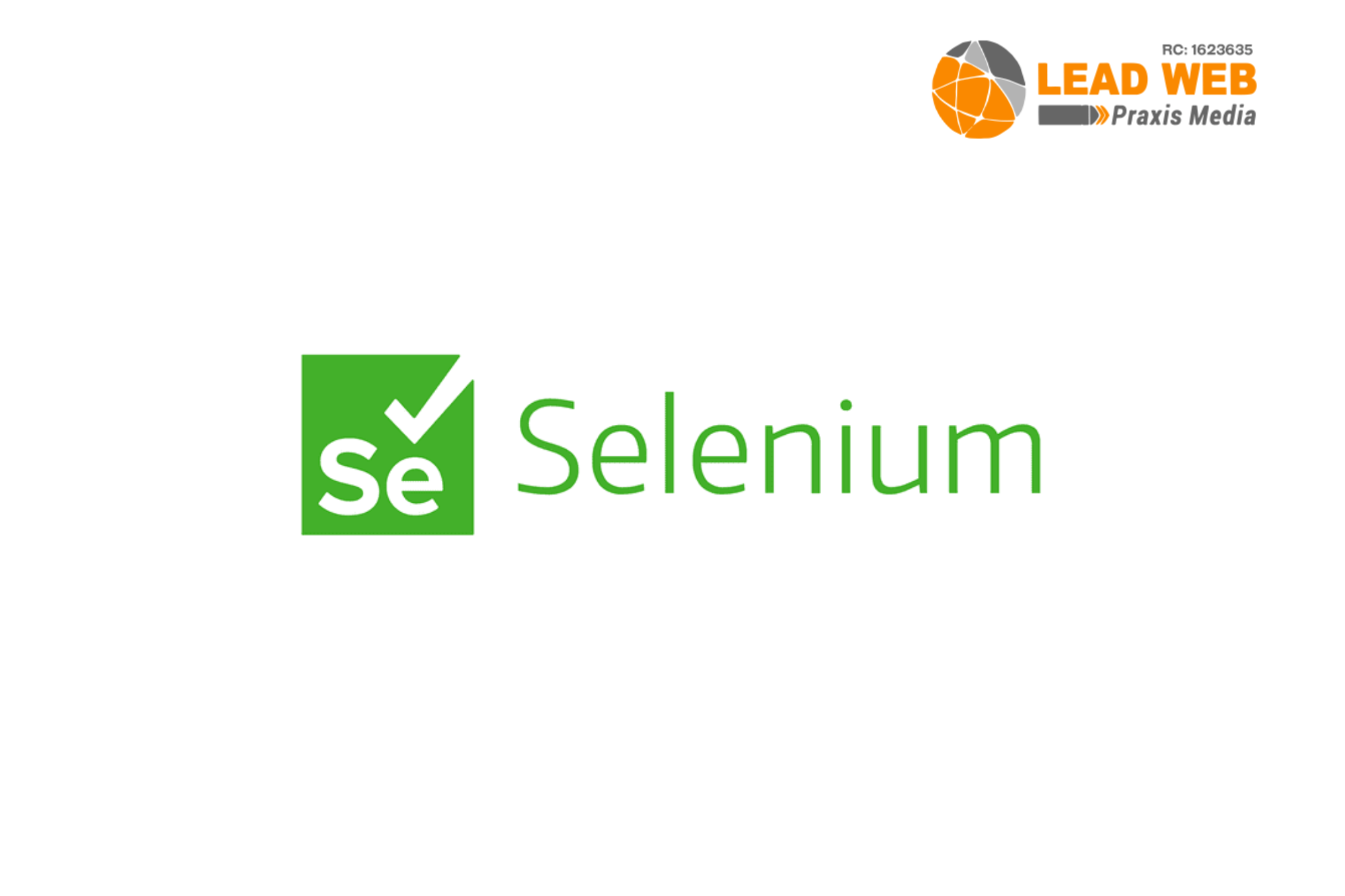 Selenium DevOps Tool Experts In Abuja Lagos PH Nigeria Africa