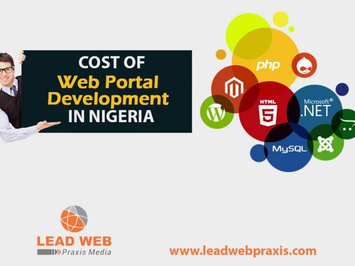 Cost of Developing a Web Portal in Nigeria