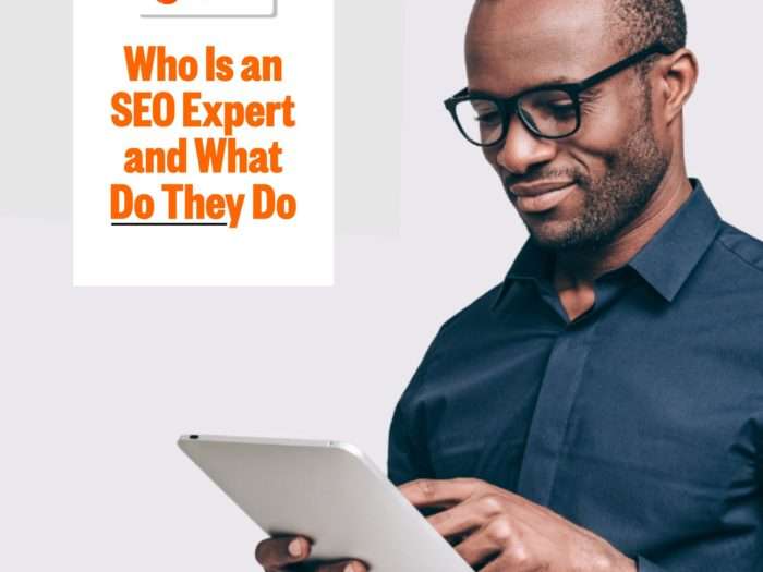 SEO Expert and What Do