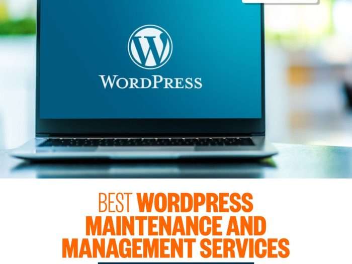 WordPress Maintenance and Management Services