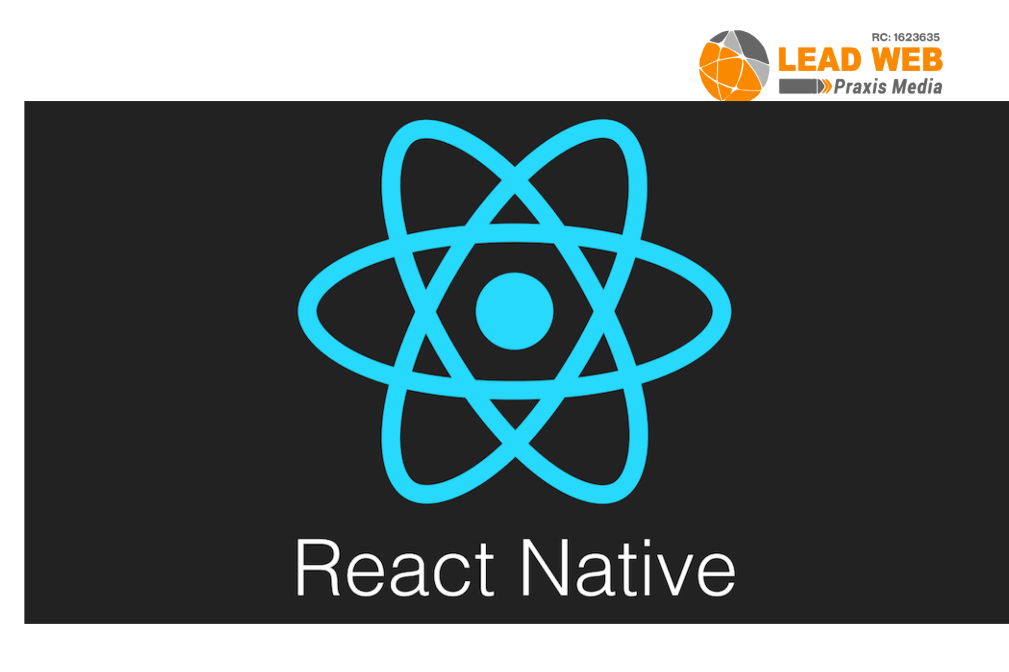 react-native-developers-in-abuja-lagos-ph-nigeria-africa