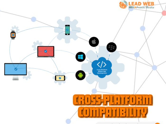 Cross-Platform Compatibility