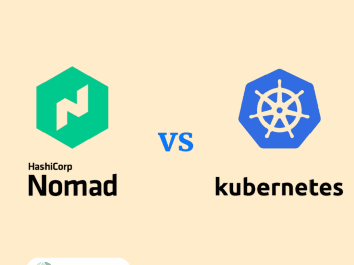 Nomad or Kubernetes