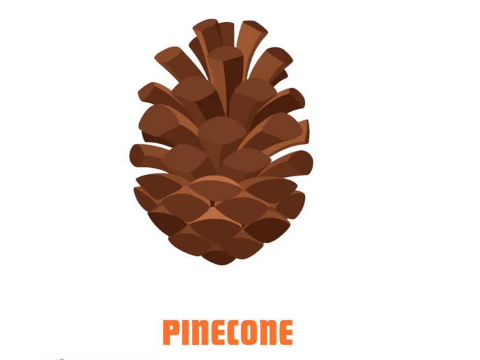 Pinecone
