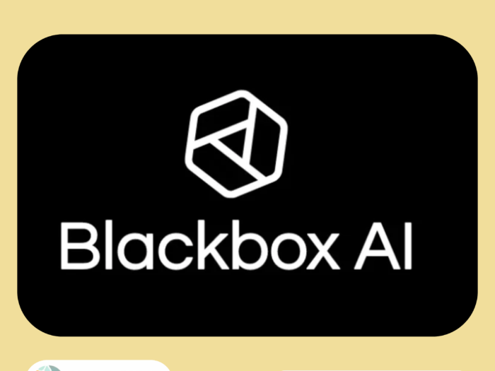 Blackbox AI