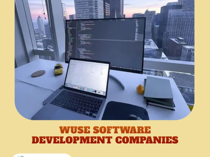 Wuse software development companies